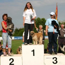 Siegerehrung dvg-Bundessieger Jumping (Foto: dvg)